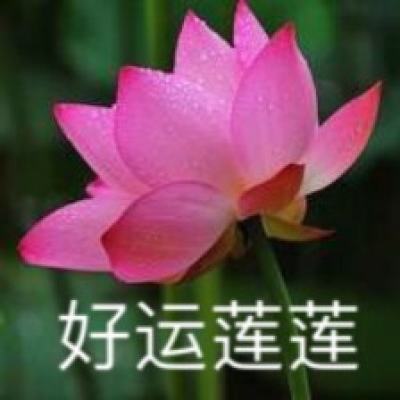 【图集】直击上海精准防控